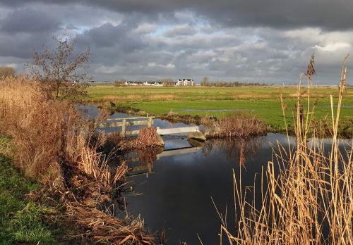 Mondelinge vraag over de Voorofsche polder | Hans van Mourik