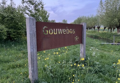 Zienswijze concept programmabegroting Groenalliantie Midden-Holland | Bart Drost